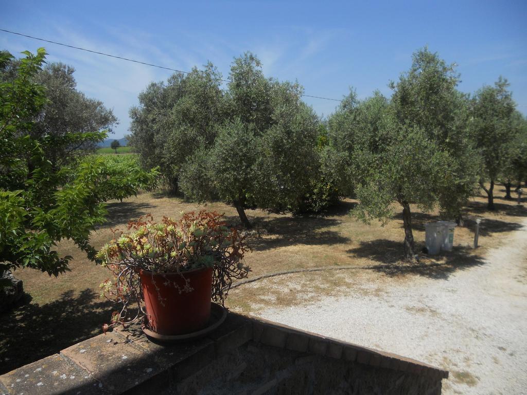 פיטיליאנו Agriturismo Tenuta Roccaccia מראה חיצוני תמונה