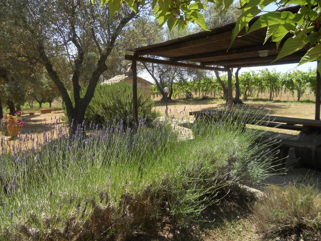 פיטיליאנו Agriturismo Tenuta Roccaccia מראה חיצוני תמונה